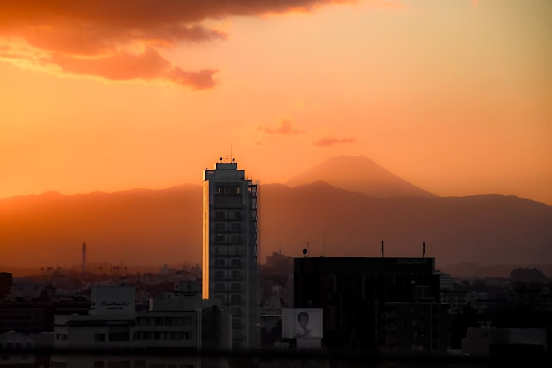 韩国“神话王国”南怡岛绝美夏景_